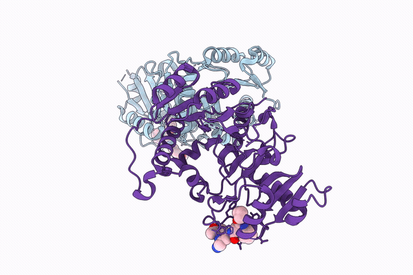 9zb3 image
