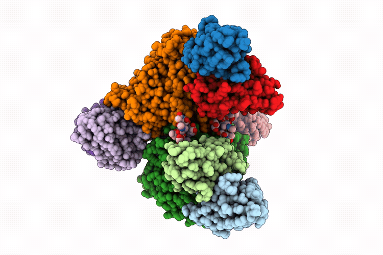 9ZB5 image