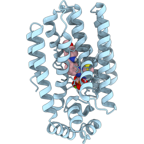 9ZBA image