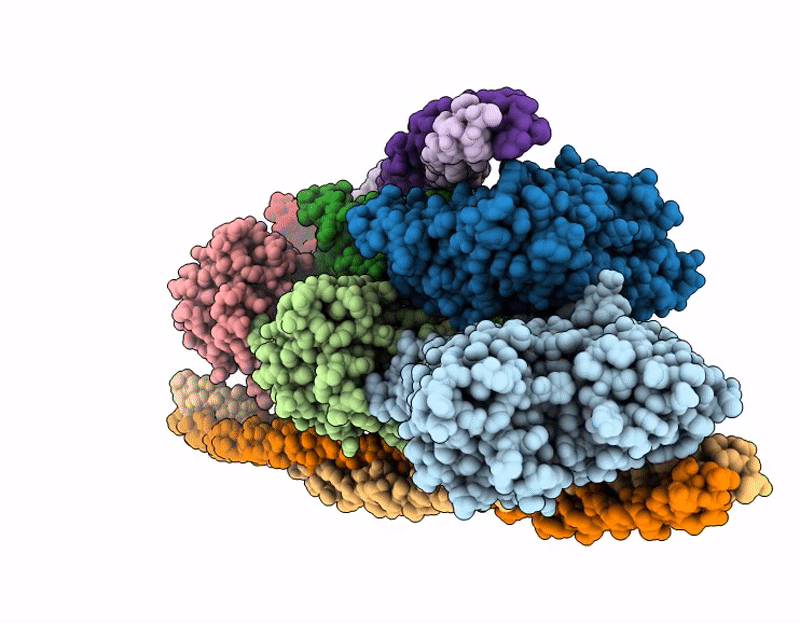 9ZBL image