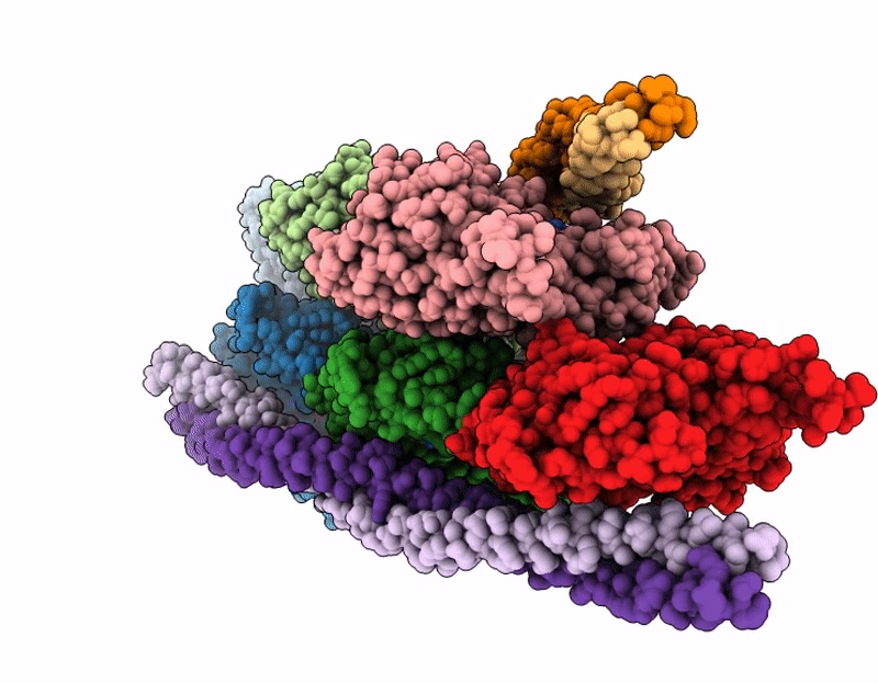 9ZBP image