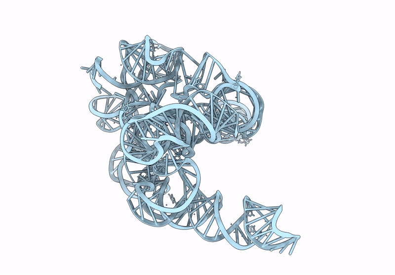 9ZBQ image