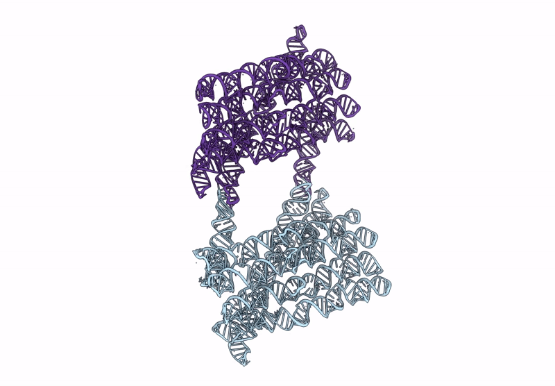 9ZCB image