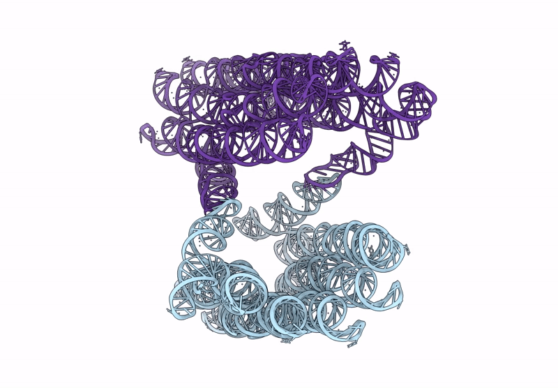 9ZCC image