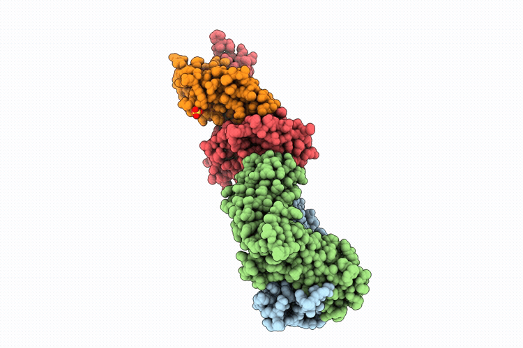 9ZCL image