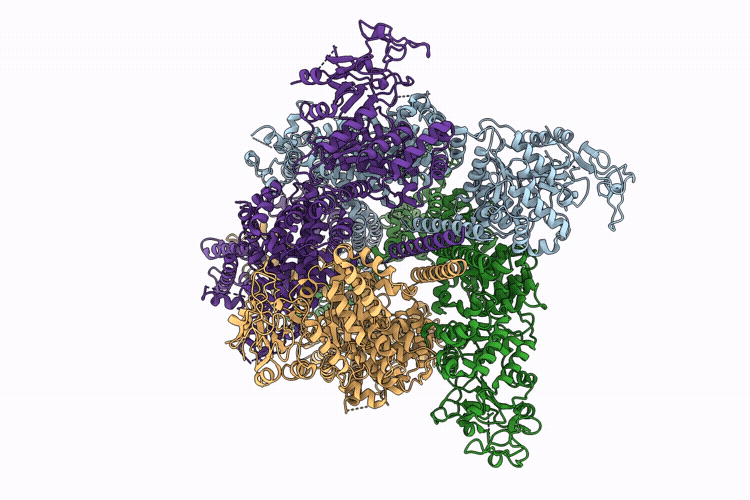 9ZCV image
