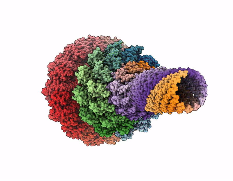 9ZDW image