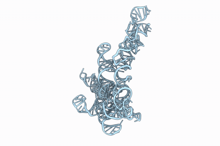 9ZF9 image