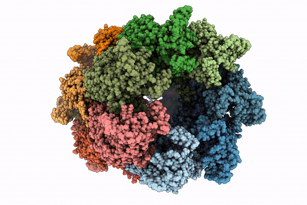 9ZFR image