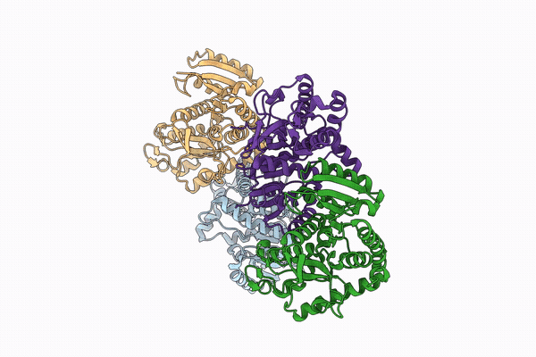 9ZFX image