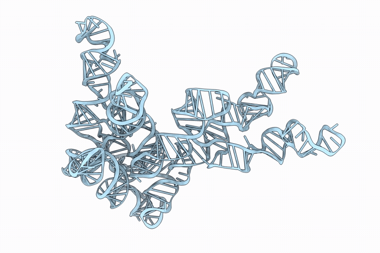 9ZGM image