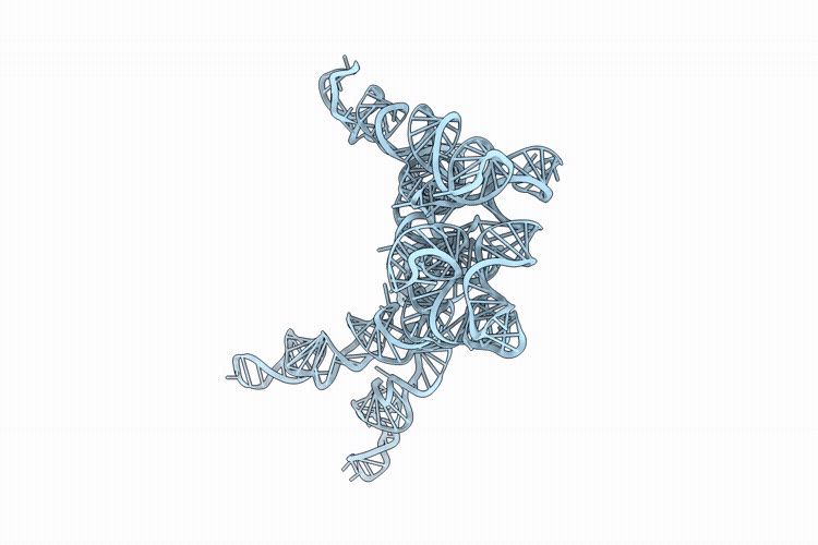 9ZHO image