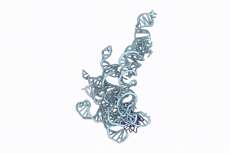 9ZIB image