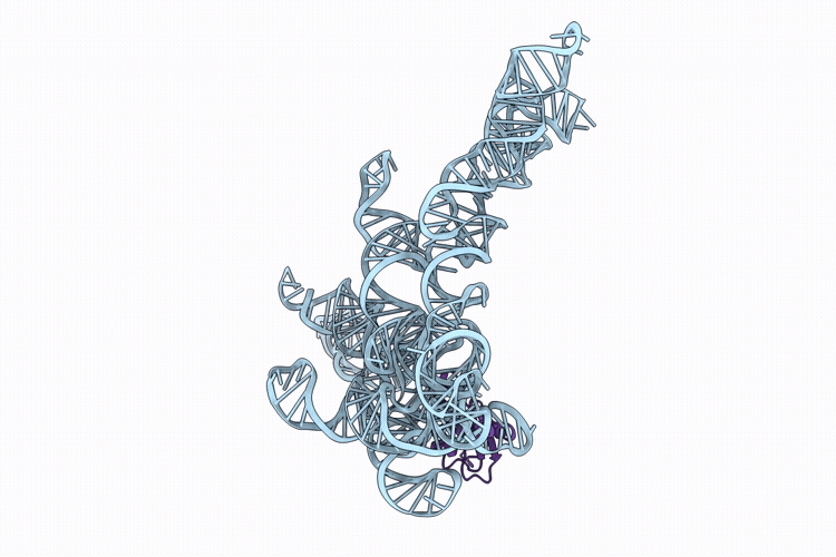 9ZID image