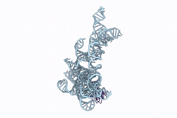 9ZII image