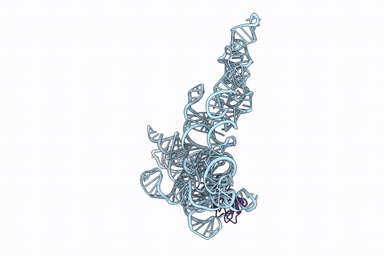 9ZIL image