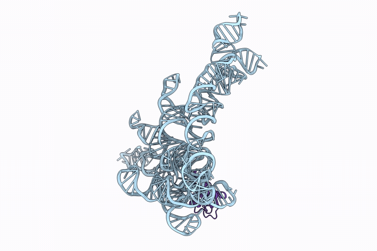 9ZIN image