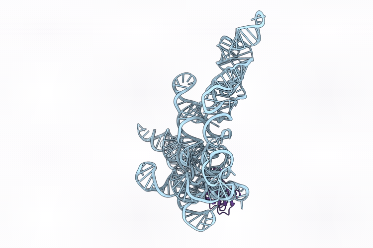 9ZIX image