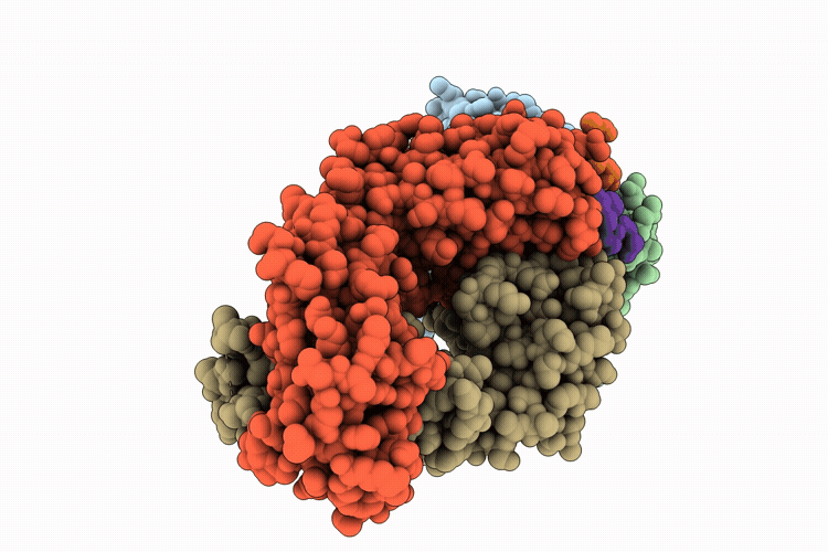 9ZM9 image