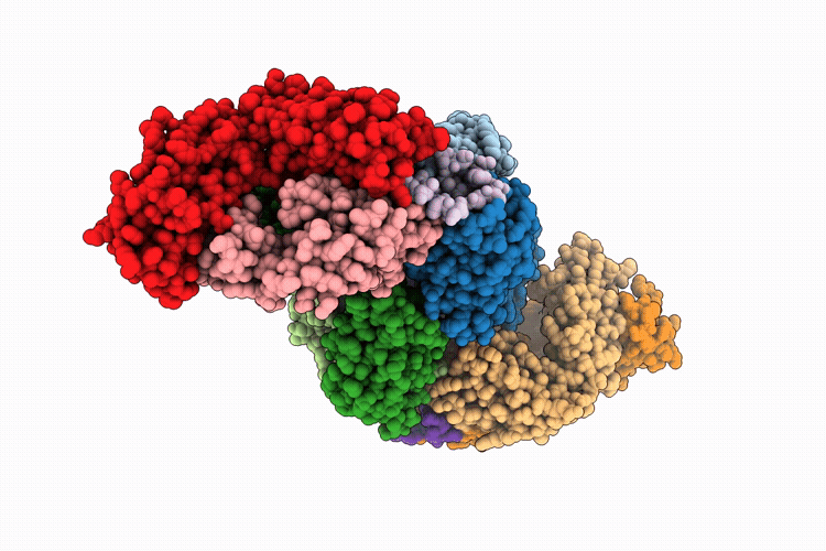 9ZMA image