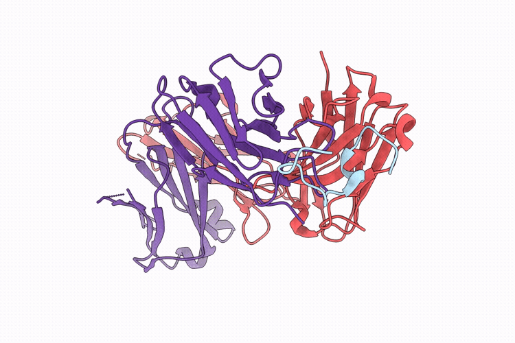 9ZMB image