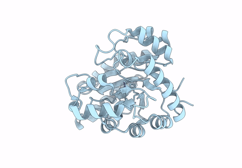 9ZMU image