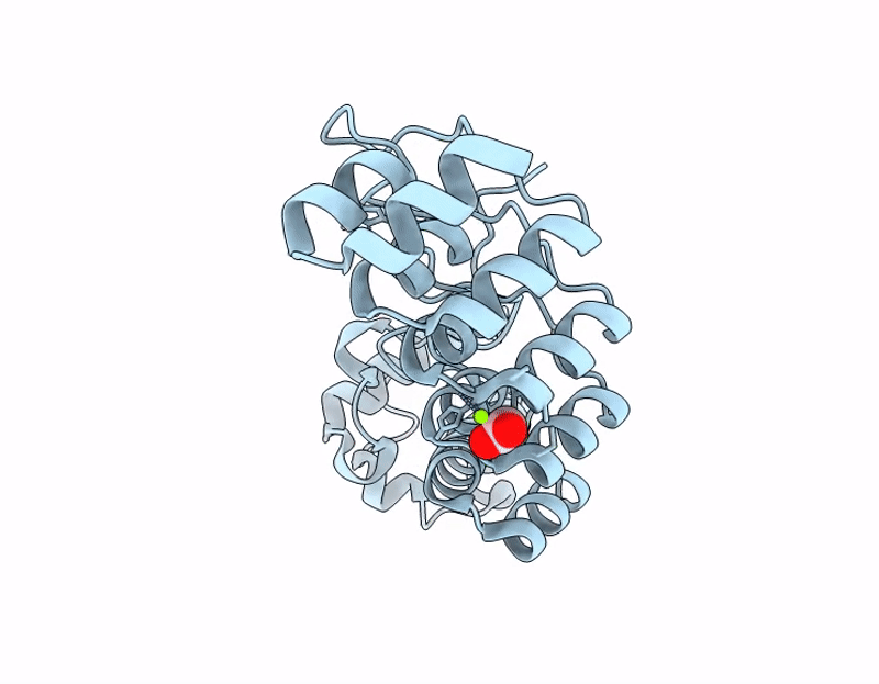 9ZNB image