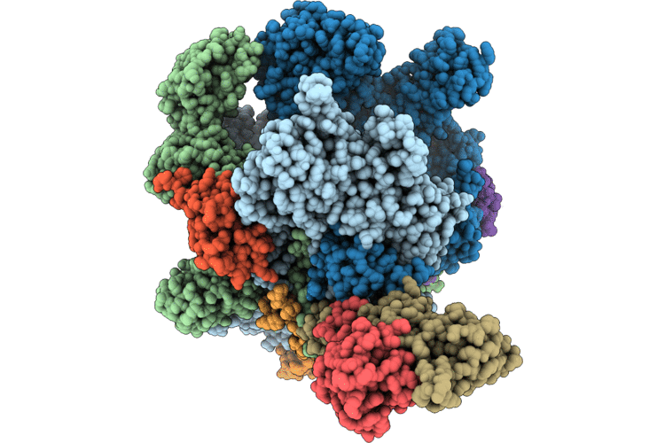 9ZO5 image