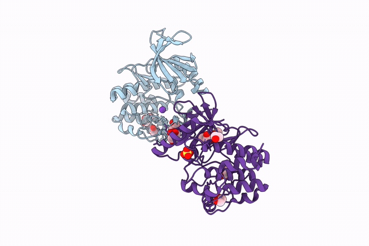 9ZPN image