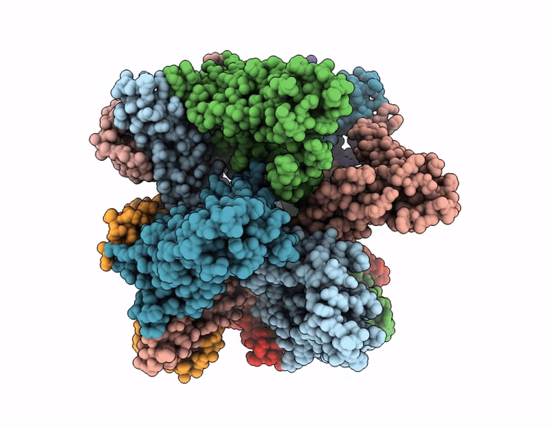 9ZPO image