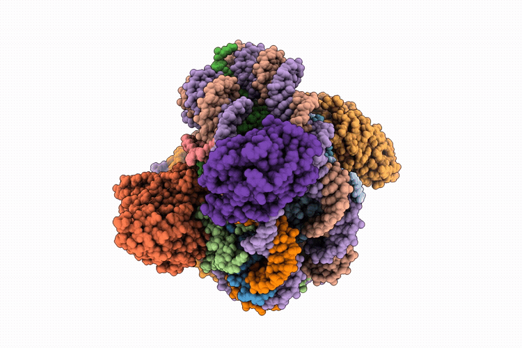 9ZQB image