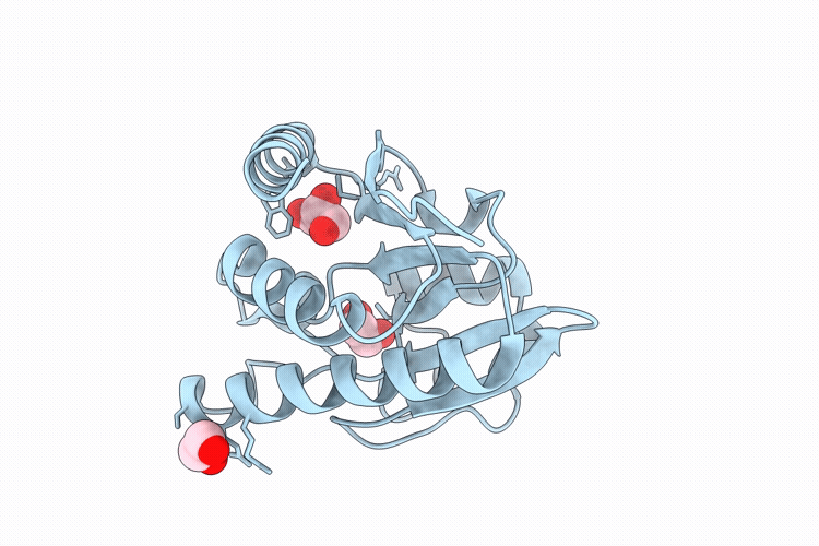 9ZRA image
