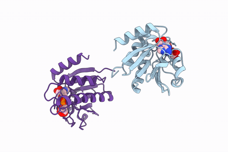 9ZRF image