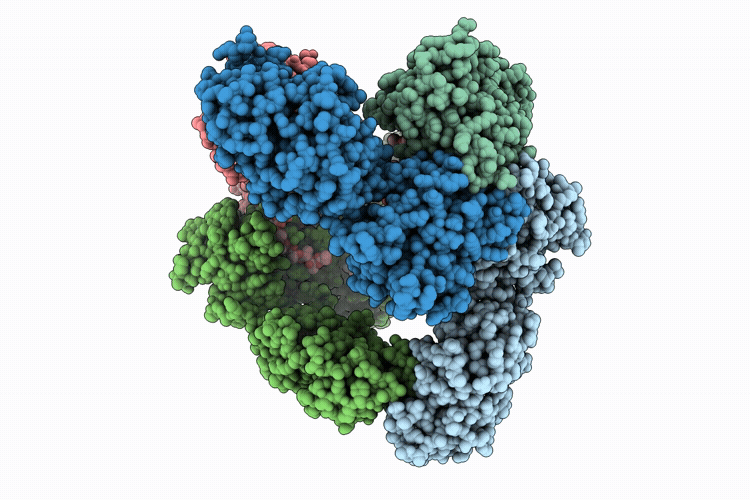 9ZRJ image
