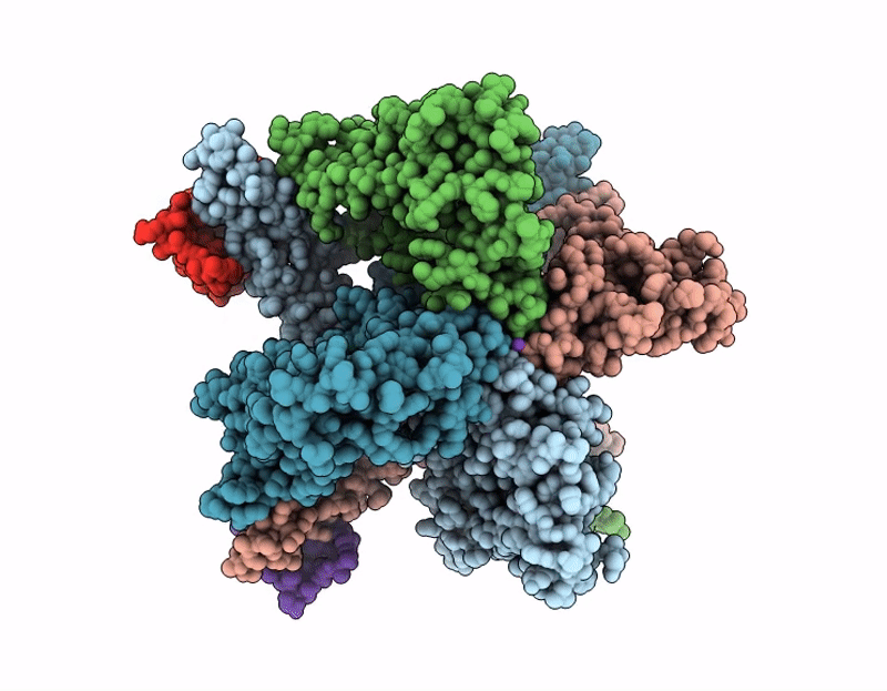 9ZRL image