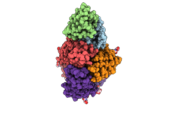 9ZT5 image