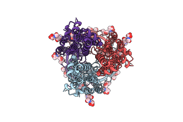 9ZT8 image