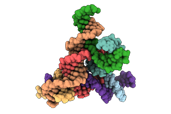 9ZYV image