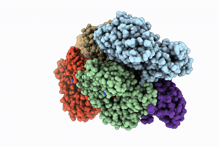 9ZZJ image