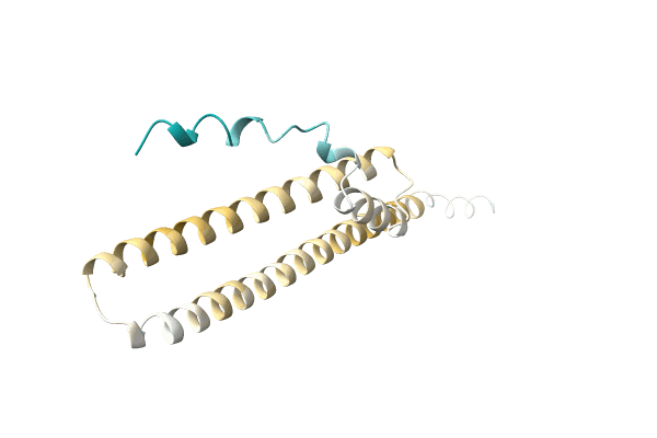 AF-A0A023PXH4-F1 image