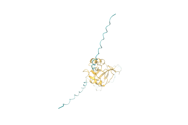 AF-A0A061AD52-F1 image