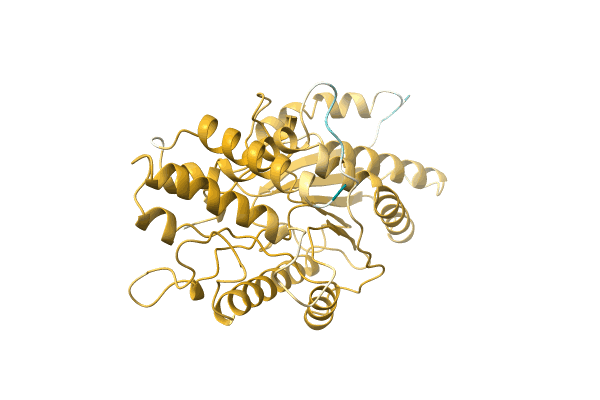 AF-A0A061DM17-F1 image
