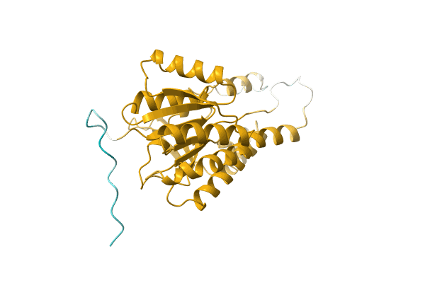 AF-A0A084R1I4-F1 image
