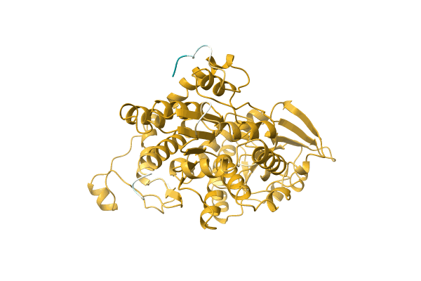 AF-A0A087WNH6-F1 image