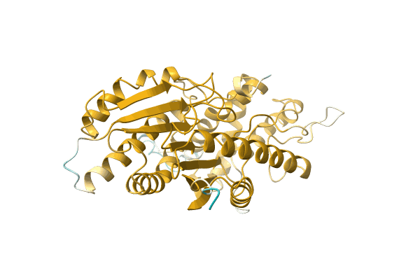 AF-A0A096VHX6-F1 image