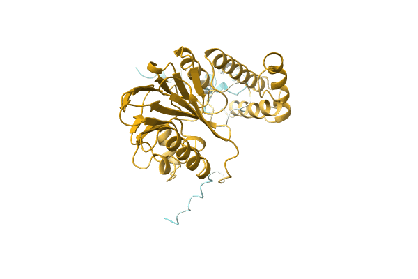 AF-A0A096ZED0-F1 image