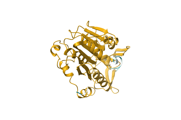 AF-A0A0A8JNG4-F1 image