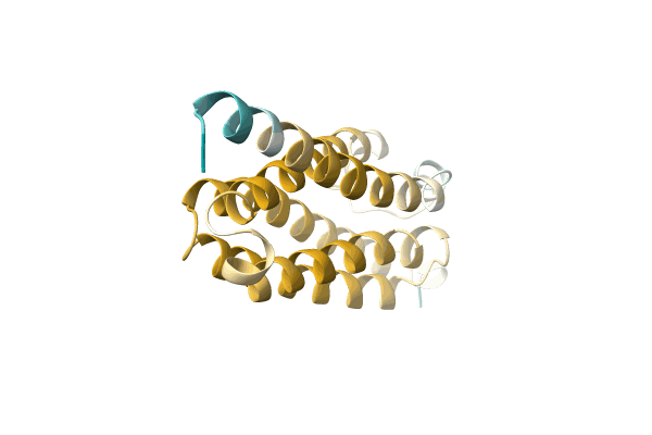AF-A0A0B2CMB7-F1 image