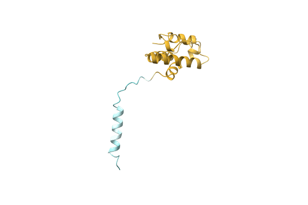 AF-A0A0B4JDK1-F1 image