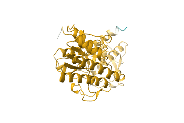 AF-A0A0B4XV50-F1 image